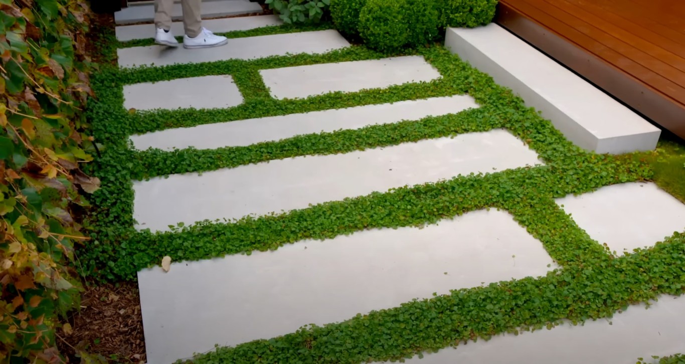 Modern hardscaping with concrete pavers and ground cover