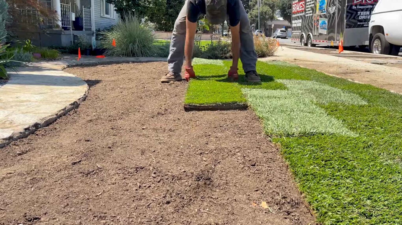 Professional sod installation creating new lawn in Rialto